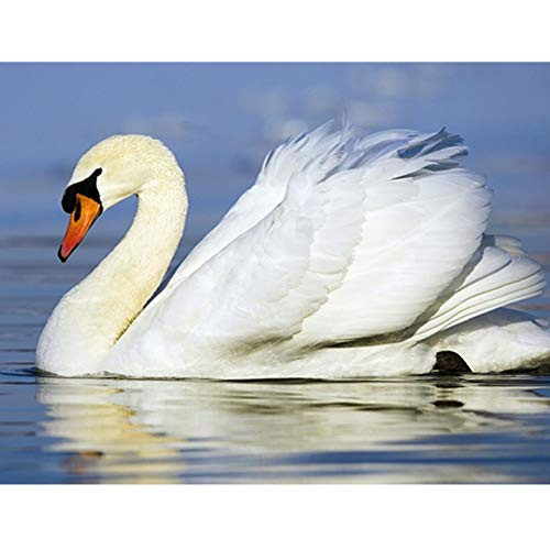 ?2019 Latest Diamond Painting?5D DIY Diamond Painting Kit,Full Diamond Cross Stitch Craft kit Embroidery Rhinestone Cross Stitch Arts Craft?Family, Room, Living Room, Kitchen (White Swan)