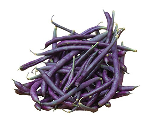 Burpee Carminat Pole Bean Seeds 200 seeds