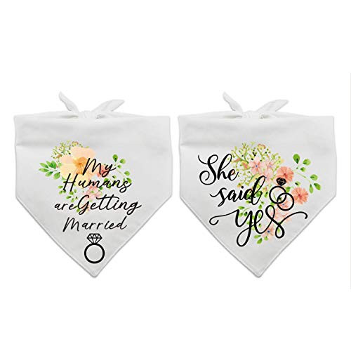 family Kitchen My Humans are Getting Wedding Married and She Said Yes Dog Bandana?Pet Scarf AccessoriesPet Accessories for Dog Lovers?Pack of 2