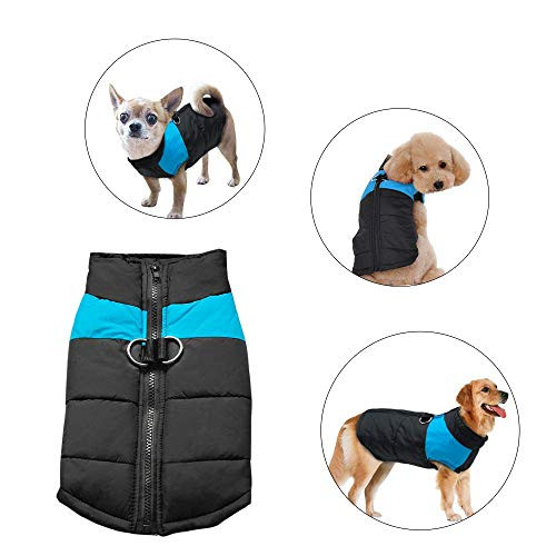 Didog Cold Weather Dog Warm Vest Jacket CoatPet Winter Clothes for Small Medium Large Dogs8 BlueS Size