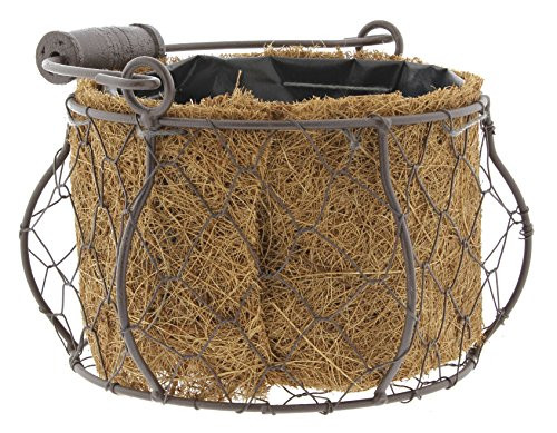 Lucky Winner 5" Round Metal Wire Basket Planter with Coconut Fiber Liner