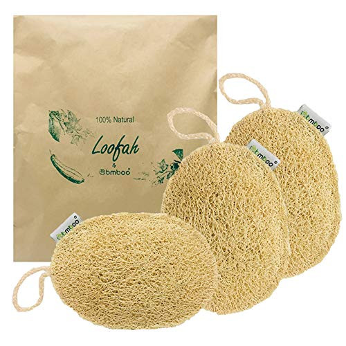 100  Natural Loofah Exfoliating Sponge  3 Pack    Loofah Body Scrubber   Loofah Sponge   Organic Loofah Pad   Exfoliating Body Sponge   Biodegradable Loofah   Bath Luffa Sponges   Exfoliating Loofah