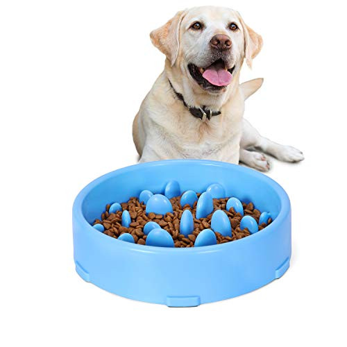 JASGOOD Slow Feeder Dog Bowl New Arriving Slow Feeding Interactive Bloat Stop Dog BowlsBlueMedium
