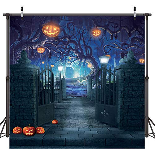 Dudaacvt 8x8ft Halloween Photography Backdrops Halloween Decorations Backdrop for Photography Horrible Party Background Photo Studio Booth Props D210