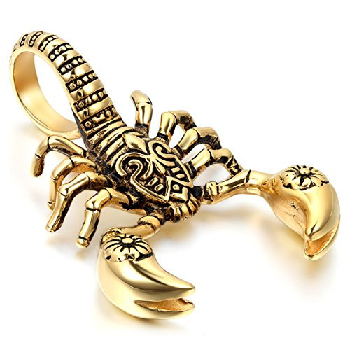 Cupimatch Mens Gothic Biker Stainless Steel Scorpion Pendant Necklace with 22 Inch Chain Cupimatch Mens Gothic Biker Stainless Steel Scorpion Pendant Necklace with 22 Inch Chain