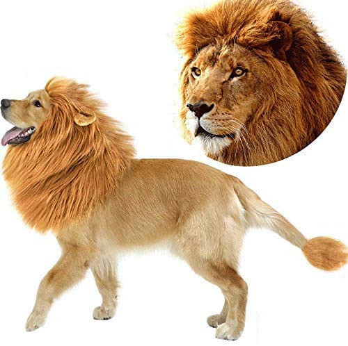 Dog Lion Mane Pet Dog Costume Pet Wigs for Dogs Fancy Lion Hair Pet Dog Lion Mane Wig for Parties Adjustable Pet Lion Mane for Medium to Large Sized Dog with Ears Tail Dog Lion Mane Pet Dog Costume Pet Wigs for Dogs Fancy Lion Hair Pet Dog Lion Mane Wig for Parties Adjustable Pet Lion Mane for Medium to Large Sized Dog with Ears Tail