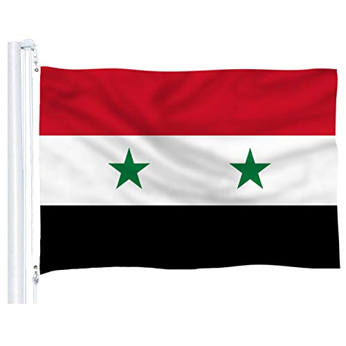 DFLIVE Asian Countries Flag 3x5 ft Printed Polyester Fly National Banner with Brass Grommets  Syria