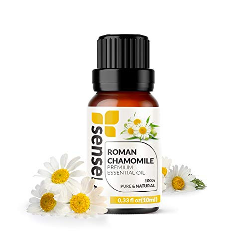 Roman Chamomile Essential Oil   100  Pure Extract Roman Chamomile Oil Therapeutic Grade  033 Fl Oz   10 ml