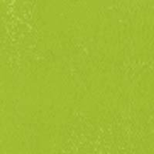 Gamblin 1980 Oil Cadmium Green 37Ml