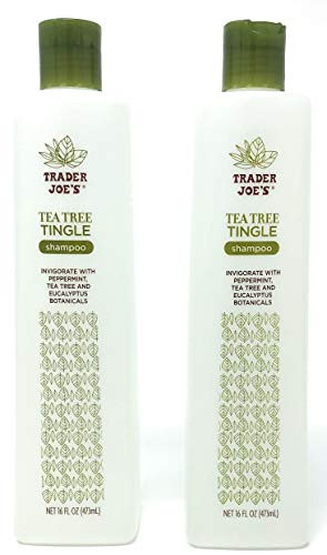 Trader Joe s Tea Tree Tingle Shampoo with Peppermint Tea Tree and Eucalyptus Botanicals  Pack of 2