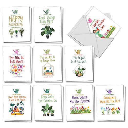 The Best Card Company   20 All Occasion Note Cards  4 x 512 Inch    Blank Boxed Set  10 Designs 2 Each    Crazy Plant Lady AM7163OCB B2x10