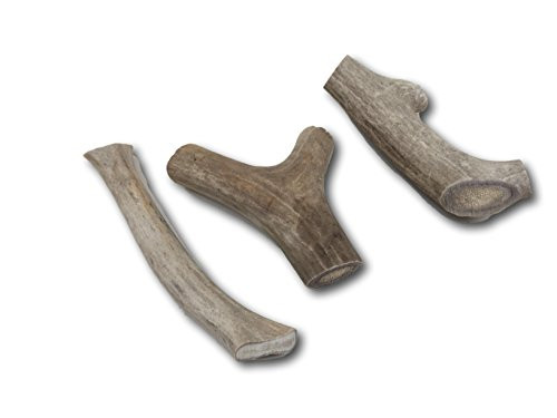 Top Dog Chews Brand   3 Pack   Deer And Elk Antler Dog Chews Medium 4  6  Perfect For Small And Medium Dogs
