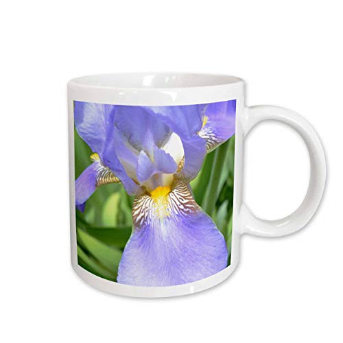 3dRose Purple Iris Flower Ceramic Mug 11 Ounce