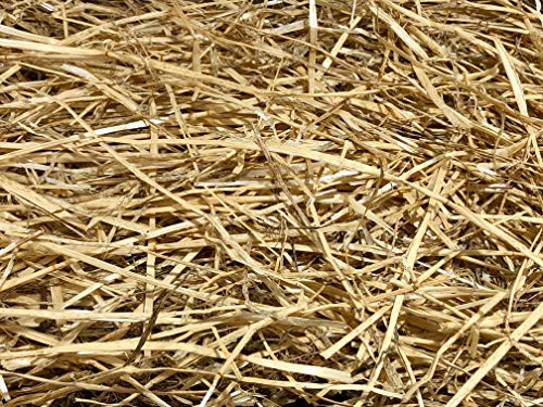 AA Plus Shop 100  Natural Wheat Straw Grass Animal Bedding and Farm Wheat Straw  4LB