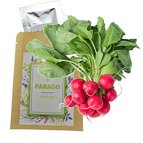 240  Radish  Cherry Belle  Seeds for Garden Planting Non GMO Organic Heirloom Radish Seeds