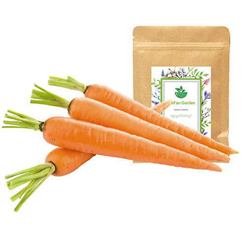 500  Carrot Seeds for Garden Planting Non GMO Organic Carrot Seeds Cheap Widely Adaptable Seeds