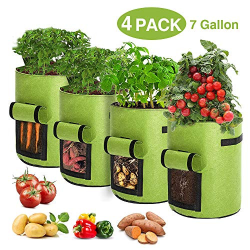 Airsnigi 4 Pack 7 Gallon Grow Bags Potato Grow Bags Garden Planting Grow Bags for Vegetables Velcro Window Vegetable Planter Bags Planting Fabric Pots with Handles Green Airsnigi 4 Pack 7 Gallon Grow Bags Potato Grow Bags Garden Planting Grow Bags for Vegetables Velcro Window Vegetable Planter Bags Planting Fabric Pots with Handles Green
