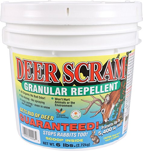 Deer Scram Granular Deer   Rabbit 6 LBS