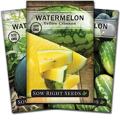 Sow Right Seeds   Watermelon Seed Collection for Planting   All Sweet Sugar Baby and Yellow Crimson Watermelons Non GMO Heirloom Seeds to Plant a Home Vegetable Garden