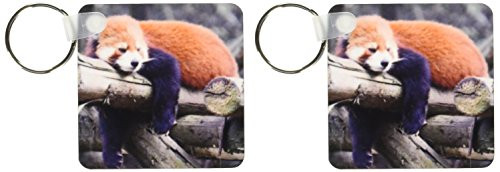 3dRose Adorable Red Panda, Sichuan Province, China - Key Chains, 2.25 x 4.5 inches, set of 2 (kc_100288_1)