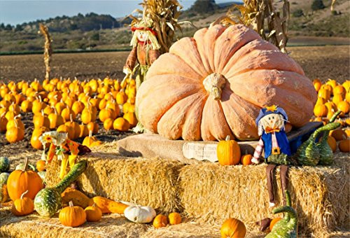 CSFOTO 7x5ft Pumpkin Backdrop Autumn Harvest Scene Scarecrow Thanksgiving Background for Photography Farm Countryside Party Photo Wallpaper CSFOTO 7x5ft Pumpkin Backdrop Autumn Harvest Scene Scarecrow Thanksgiving Background for Photography Farm Countryside Party Photo Wallpaper