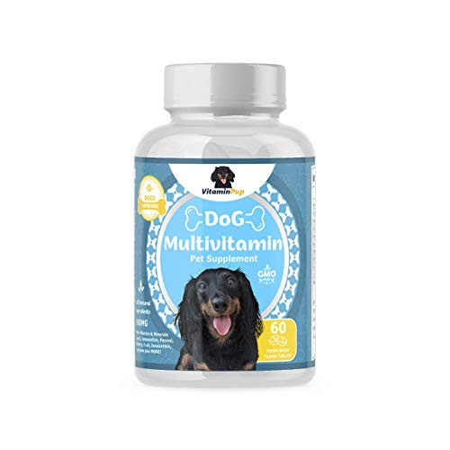 VitaminPup Dog Daily Multivitamin and Mineral Supplement   Vitamin E B Complex CoQ10 Zinc Calcium Magnesium Potassium   Natural Wellness Antioxidant Support Bone and Coat   60 Chewable Tablets