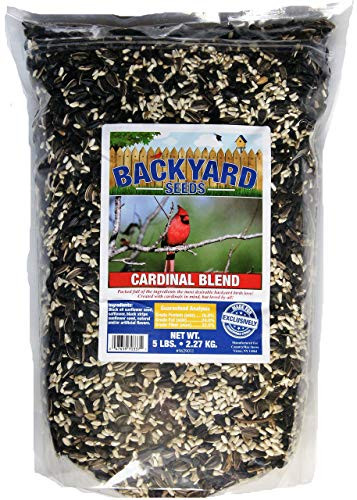 Backyard Seeds Black Oil Sunflower and Safflower Cardinal Blend Bird Seed  5 Pounds