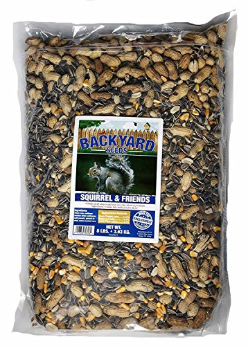 Backyard Seeds Squirrel   Friends Wildlife Chipmunk Food Mix 8 Pounds