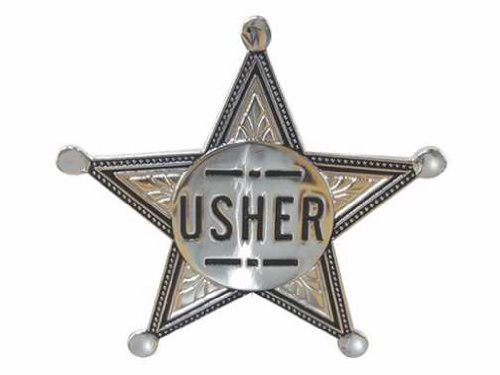 Badge Usher Pin Back  2  Silver Star  Metal