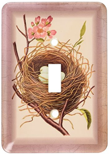 3dRose lsp 37402 1 Birds Eggs N Nest On Rosey Background Single Toggle Switch