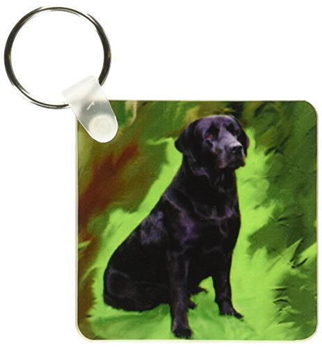 3dRose Black Labrador Retriever   Key Chains 225 x 45 inches set of 2  kc 3892 1