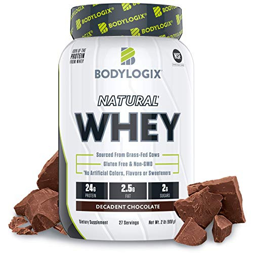 Bodylogix Natural Grass Fed Whey Protein Powder NSF Certified Decadent Chocolate 2 Pound
