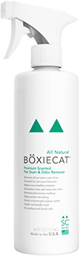 Boxiecat Premium Scented Stain   Odor Remover 24 oz