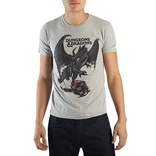 Dungeons and Dragons Dice T Shirt Mens Grey T Shirt Licensed  Grey Large
