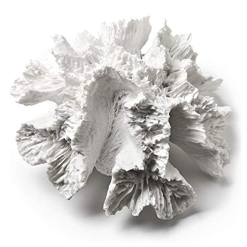 Abbott Collection Coral Flower White  Small