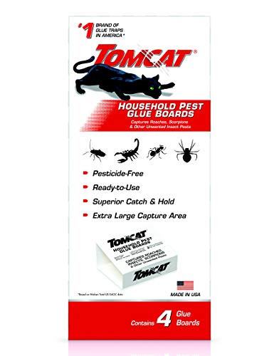 Tomcat Household Pest Glue Trap 4 Pack