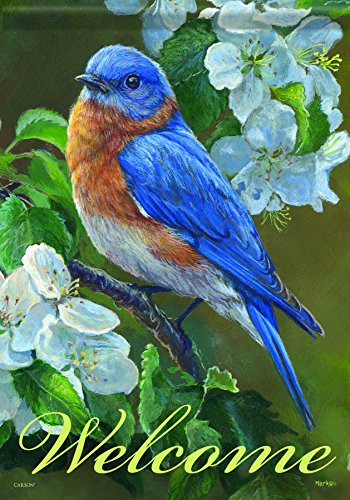 Carson Home Accents Flagtrends Classic Garden Flag Welcome Bluebird Blossoms
