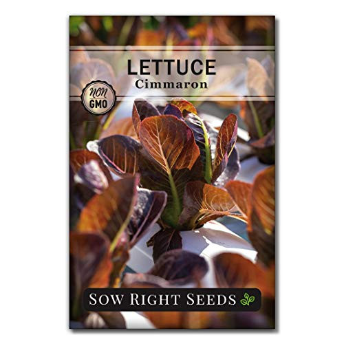 Sow Right Seeds   Cimmaron Romaine Lettuce Seed for Planting   Non GMO Heirloom Packet with Instructions to Plant a Home Vegetable Garden Indoors or Outdoor  Great Gardening Gift  1