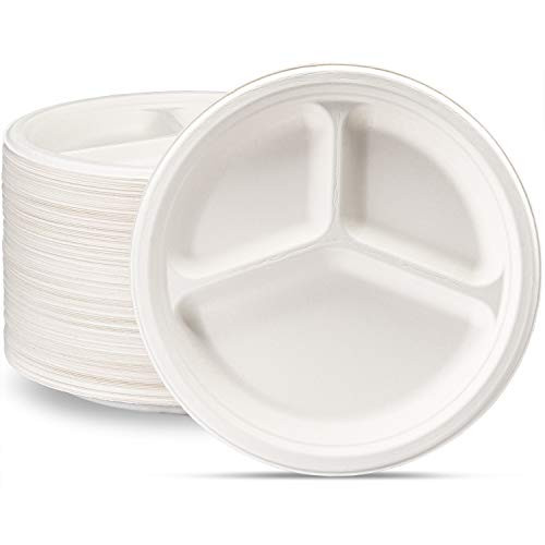 100  Compostable 10 Inch Heavy Duty Plates  125 Pack  3 Compartment Eco Friendly Disposable Sugarcane Paper Plates