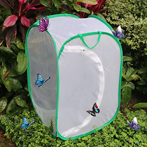 Qingo Collapsible Insect and Butterfly Habitat cage Terrarium Pop up Open - 23.6 Inches Tall (White) (White)