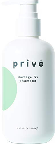 Prive Damage Fix Shampoo   8 Fluid Ounces   237 Milliliters   Repairs Dry and Over Processed Hair From Within and Protects From Future Additional Damage
