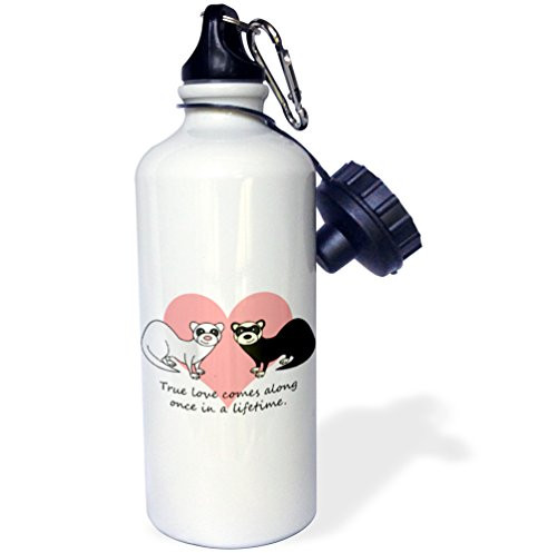 3dRose Cute Sun Conure Parrot Dark Blue Background Sports Water Bottle 21 oz White 3dRose Cute Sun Conure Parrot Dark Blue Background Sports Water Bottle 21 oz White
