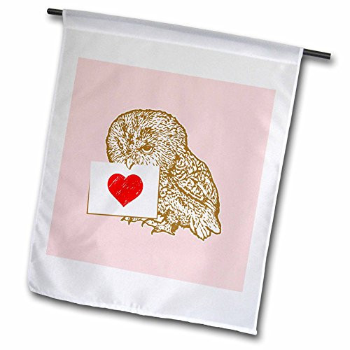 3dRose fl 219158 1 Cute Owl Holding Note with Red Heart On Pink Background Garden Flag 12 x 18