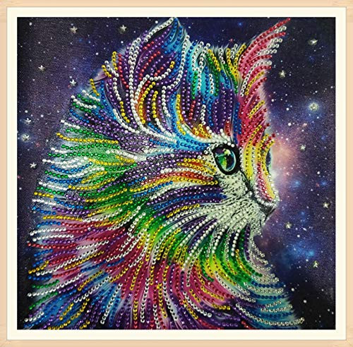 Diamond Painting Kits DIY 5D Diamond Painting Kit for Adults Kids Colourful Cat 30x30cm Art Accessories with Irregular Diamond Drill for Home Wall Decor Painting Arts Craft