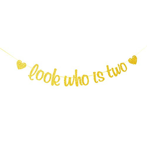 Look Who is Two Banner for Kids Birthday Party Decorations 2nd Anniversary Boys Girls Birthday Bunting Sign Gold Glitter