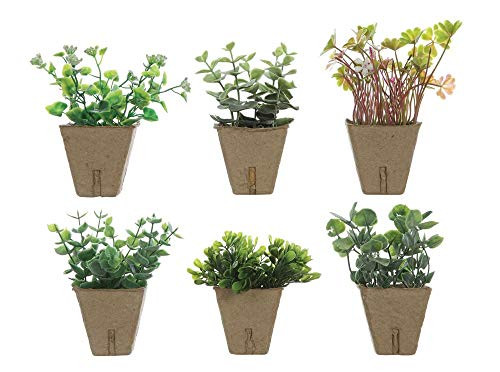 Creative Co op Succulents in Paper Pots   Set of 6