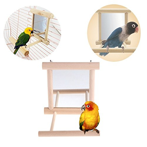 Hypeety Bird Parrot Mirror Toy Swing Hanging with Perch for Parrot Parakeet Budgies Cockatiel Conure Finch Lovebird African Grey Amazon Cockatoo Hypeety Bird Parrot Mirror Toy Swing Hanging with Perch for Parrot Parakeet Budgies Cockatiel Conure Finch Lovebird African Grey Amazon Cockatoo