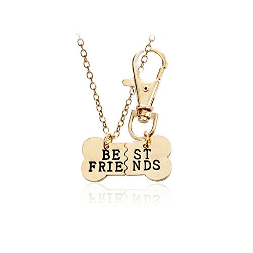 Best Friend Necklace Keychain Set for 2 Dog Bone Tag Necklace Friendship BFF Dog Gifts Best Friend Necklaces Gifts for Dogs
