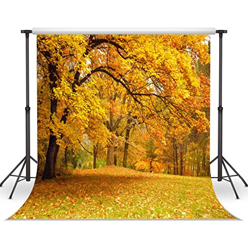 LYWYGG 10x10ft Yellow Leaves Filled with Trees Autumn Scenery Vinyl Fall Photography Backdrops Studio Background Photo Backdrops Studio Props CP 63 LYWYGG 10x10ft Yellow Leaves Filled with Trees Autumn Scenery Vinyl Fall Photography Backdrops Studio Background Photo Backdrops Studio Props CP 63