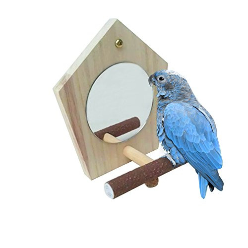 Parrot Cage Mirror with Perch for Parrot Macaw African Greys Budgies Cockatoo Parakeet Cockatiels Conure Macaw Lovebird and Cage Accessories Parrot Cage Mirror with Perch for Parrot Macaw African Greys Budgies Cockatoo Parakeet Cockatiels Conure Macaw Lovebird and Cage Accessories